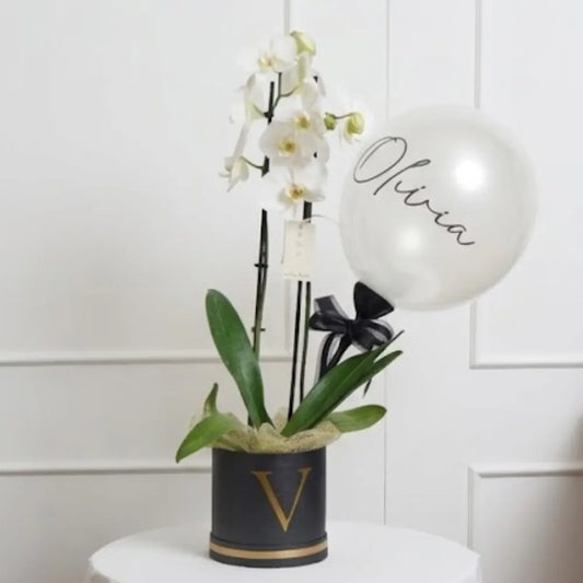 Regalo personalizado con orquídea natural