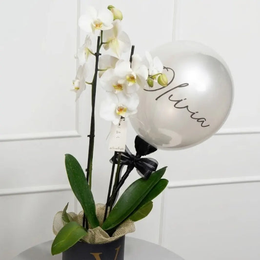 Regalo personalizado con orquídea natural