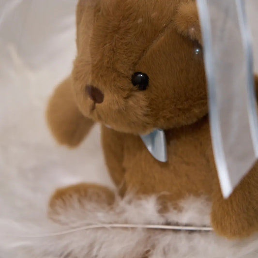 Regalo personalizado con peluche y plumas